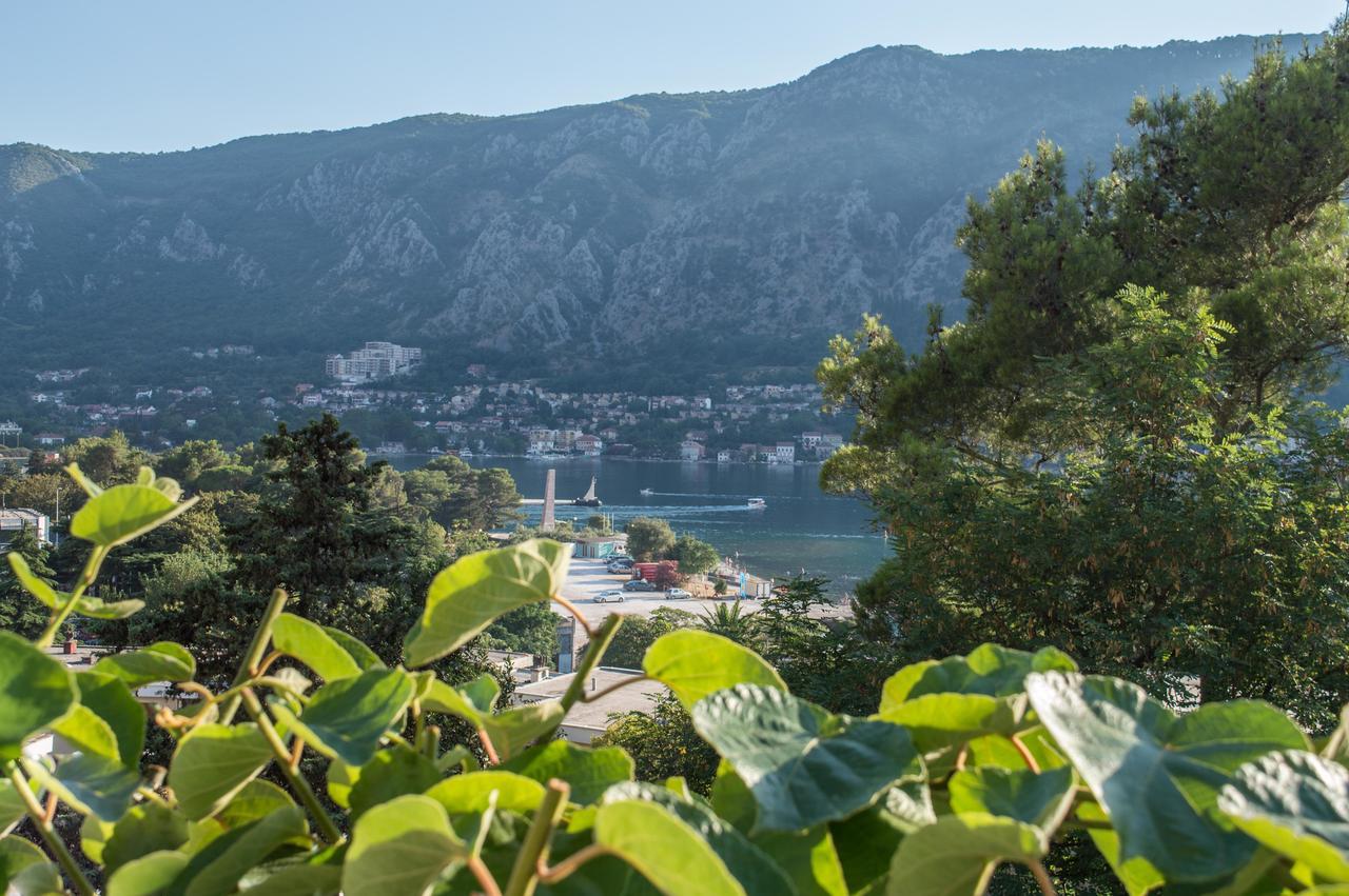 Apartment Kiwi Kotor Eksteriør bilde