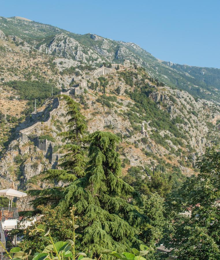 Apartment Kiwi Kotor Eksteriør bilde